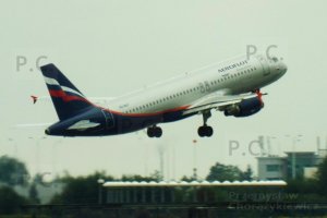 DSCF8296 (Kopiowanie).JPG