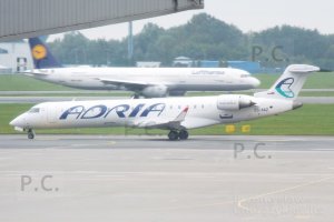 DSCF8209 (Kopiowanie).JPG