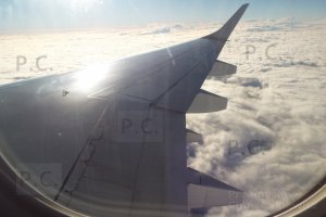 odbicie światła w skrzydle