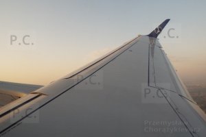 DSCF7646 (Kopiowanie).JPG