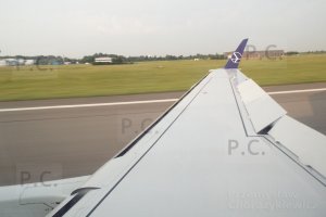 DSCF7697 (Kopiowanie).JPG