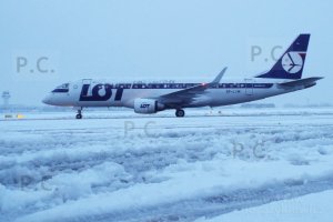 DSCF2441 (Kopiowanie).JPG