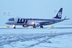 DSCF2440 (Kopiowanie).JPG