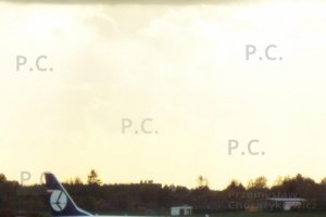 DSCF8798 (Kopiowanie).JPG