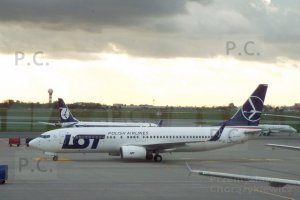 DSCF8823 (Kopiowanie).JPG