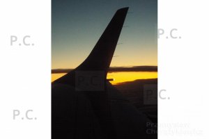 DSCF8692 (Kopiowanie).JPG