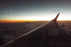 DSCF8686 (Kopiowanie).JPG