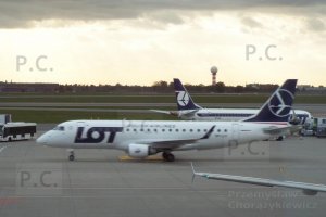 DSCF8797 (Kopiowanie).JPG