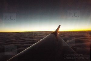 DSCF8678 (Kopiowanie).JPG