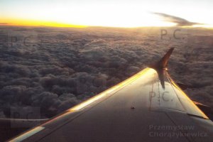 DSCF8702 (Kopiowanie).JPG