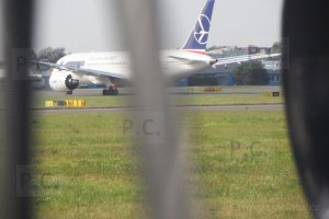 SAM_1617 (Kopiowanie).JPG