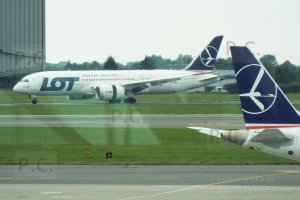 DSCF8007 (Kopiowanie).JPG