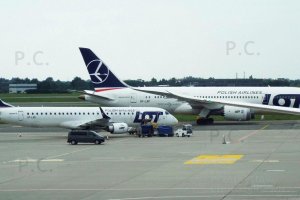 DSCF8009 (Kopiowanie).JPG