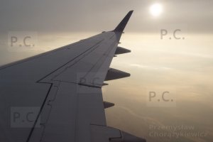 DSCF7916 (Kopiowanie).JPG