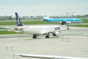 DSCF8386 (Kopiowanie).JPG