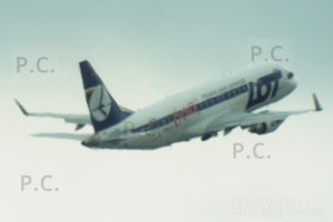 DSCF8392 (Kopiowanie).JPG