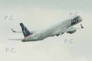 DSCF8391 (Kopiowanie).JPG