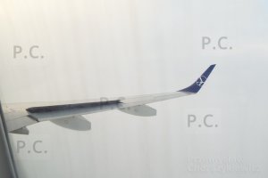 DSCF2007 (Kopiowanie).JPG