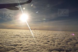 DSCF1978 (Kopiowanie).JPG