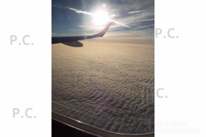 DSCF1992 (Kopiowanie).JPG