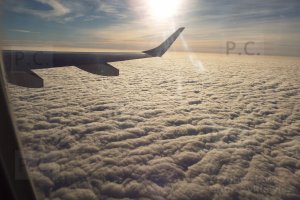 DSCF1984 (Kopiowanie).JPG