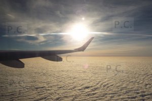 DSCF1986 (Kopiowanie).JPG