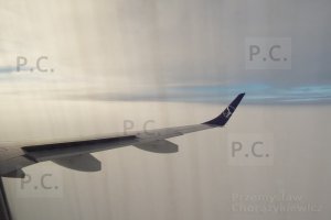 DSCF2009 (Kopiowanie).JPG