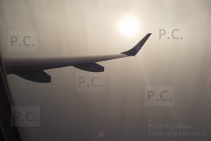 DSCF2005 (Kopiowanie).JPG