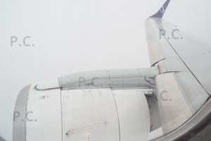 DSCF1304 (Kopiowanie).JPG