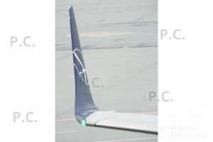 DSCF1286 (Kopiowanie).JPG