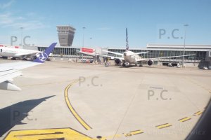 DSCF5337 (Kopiowanie).JPG