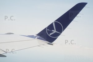 DSCF5364 (Kopiowanie).JPG