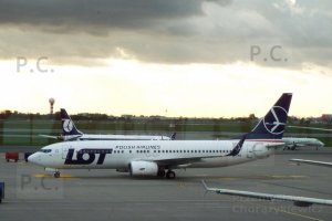 DSCF8823 (Kopiowanie).JPG