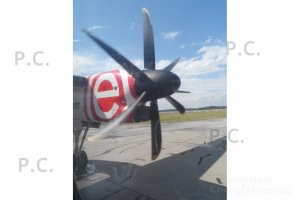 SAM_1260 (Kopiowanie).JPG