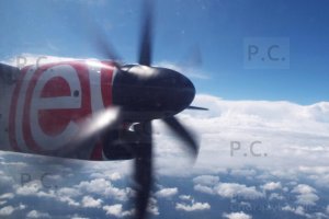 DSCF7391 (Kopiowanie).JPG