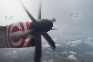 DSCF7390 (Kopiowanie).JPG