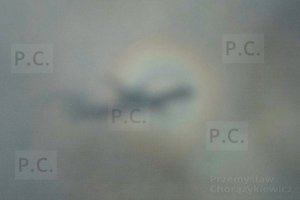 DSCF7405 - Kopia (Kopiowanie).JPG