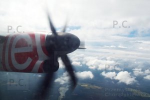 DSCF7388 (Kopiowanie).JPG