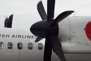 DSCF7356 (Kopiowanie).JPG