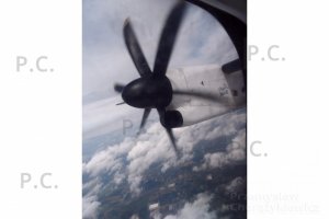 SAM_1252 (Kopiowanie).JPG