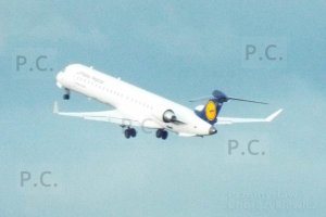 DSCF2565 (Kopiowanie).JPG