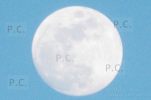 DSCF6364 (Kopiowanie).JPG