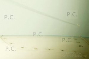 DSCF6321 - Kopia (Kopiowanie).JPG