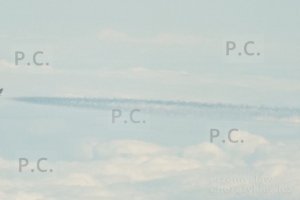 DSCF6192 (Kopiowanie).JPG