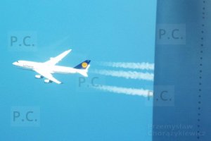 DSCF6214 (Kopiowanie).JPG