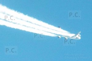 DSCF6186 (Kopiowanie).JPG