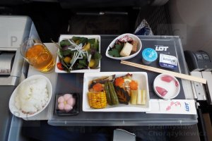 dreamliner-japan-poland-meal