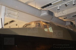 P4060323 (Kopiowanie).JPG