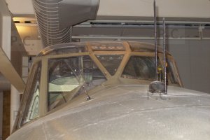 P4060313 (Kopiowanie).JPG