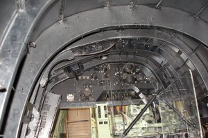 P4060315 (Kopiowanie).JPG